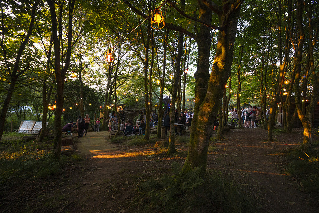View festival photos